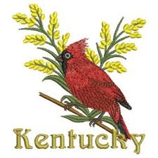 KentuckyBird